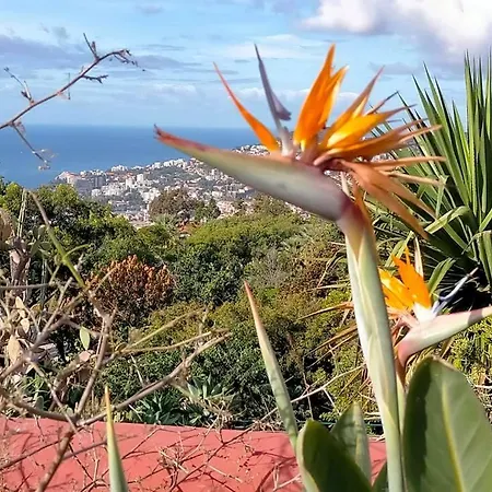 Apartment Funchal Peaceful Luxury 2 Bed